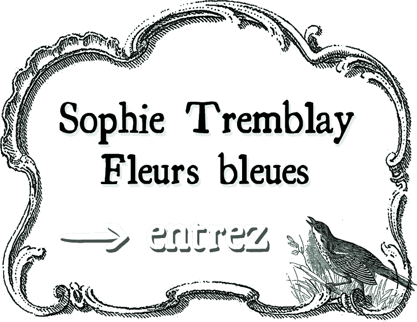 Sophie Tremblay Fleurs bleues